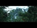 New Nature Whatsapp Status