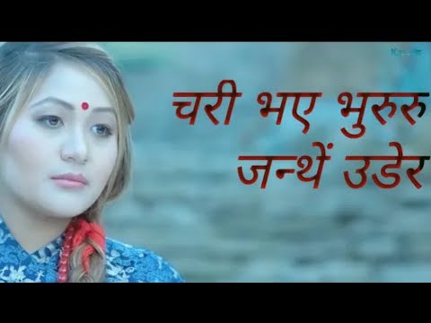 Chari Bhaye Bhururu Janthe Udera by Babina Kiratee | Official Lyricalideoचरी भए भुरुरु जन्थें उडेर