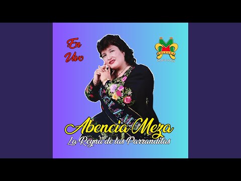 Mi soledad / Licor maldito / Casada vida (feat. Abencia Meza)
