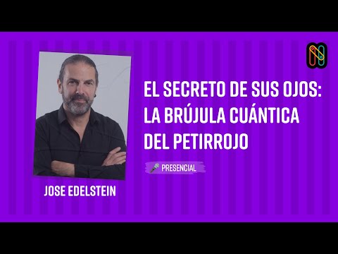 El secreto de sus ojos: la brújula cuántica del petirrojo