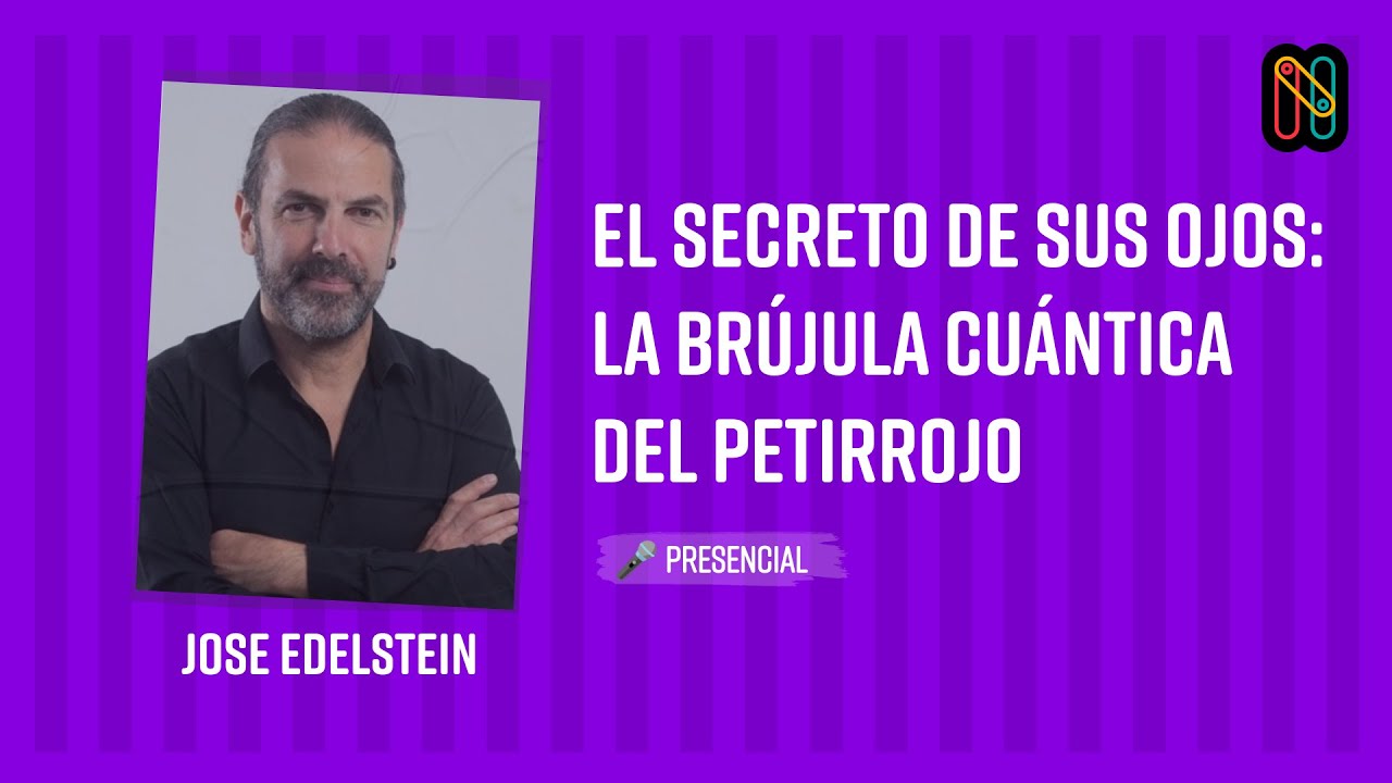 El secreto de sus ojos: la brújula cuántica del petirrojo