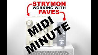 Video thumbnail for Strymon Riverside With Faves by chase bliss