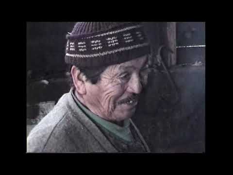 La Ternura. El llamado de la Ñuke Mapu (2023) - Documental Mapuche