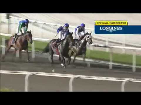 Singapore 20171201 race 3 ELITE INVINCIBLE