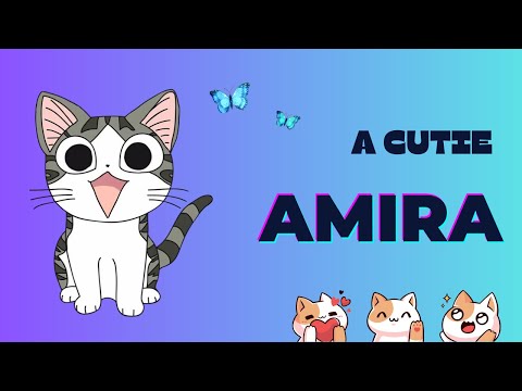 A cutie Amira🐱😍