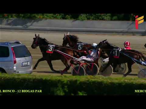 II corsa del 5 ottobre 2022 - 5 Anni ed oltre - Metri 1600