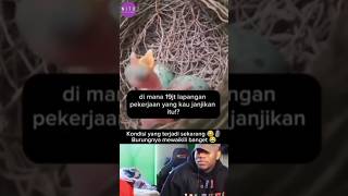 Download lagu Kondisi yang terjadi sekarang 😂🗿 burungnya mewaikili banget #shorts #fyp #funny #lucu mp3 Download lagu Kondisi yang terjadi sekarang 😂🗿 burungnya mewaikili banget #shorts #fyp #funny #lucu mp3