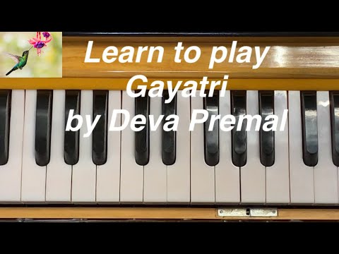 Learn to play Gayatri (Deva Premal) on Harmonium - Easy Chords Tutorial
