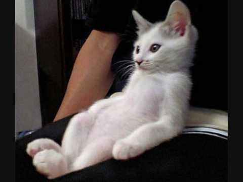 Digitalism - Jupiter Room (Martian Assault Edit)