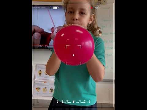 PYP STEM Balloon Powered Cars