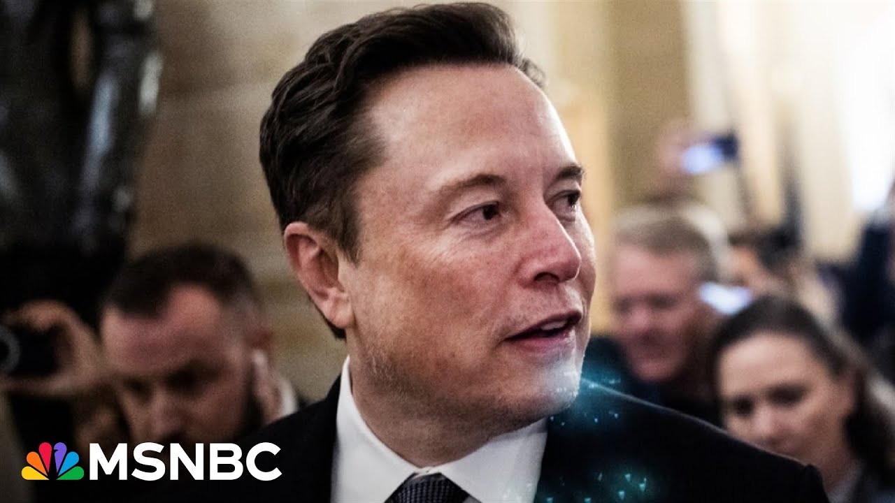 'Three-alarm fire': Musk tightens grip on govt. as Dems sound alarm