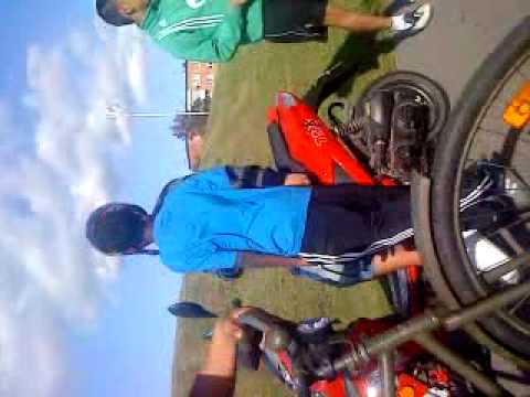 FLIPP MED BLATTAR I NÄSBY