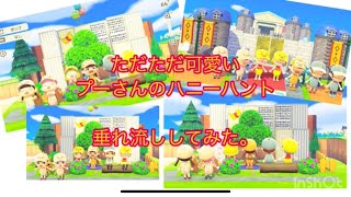 【あつ森】ただただ可愛いプーさんのハニーハント前を垂れ流してみた。ディズニー