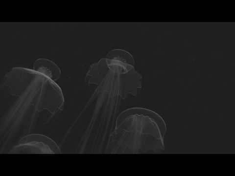 New Rome - Medusa (Official Video)