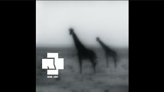 Rammstein - Keine Lust (Black Strobe Remix)