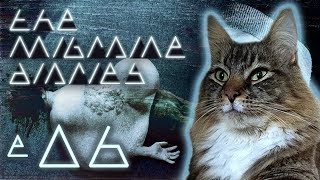 The Migraine Diaries 6 - Funding And Olaf