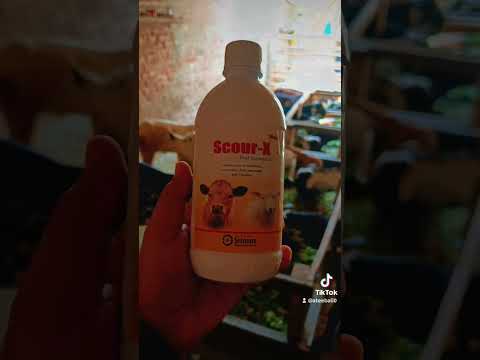 Use of Score X Syrup For Animals for Loss Motion 