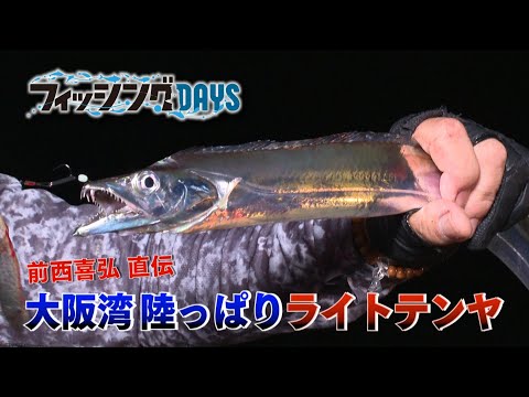 【フィッシングDAYS】#75　前西喜弘直伝　大阪湾陸っぱりライトテンヤ