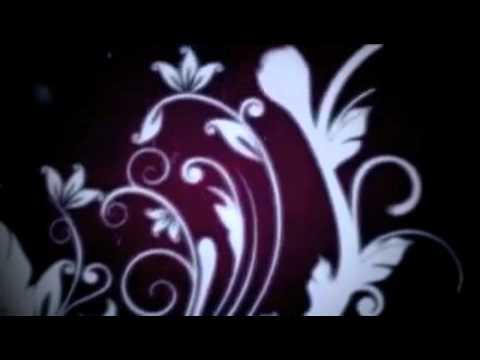 Jolyon Petch vs AxisOne - Wrong for you (Jolyon Petch's 2011 Tour Bootleg)