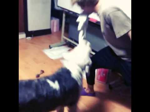 141025 JJCC - 더블제이씨 E.co Update