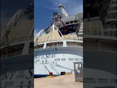 Thumbnail for Day 6 of our Family Vacation #cruisevlog #royalcaribbean #cozumelmexico