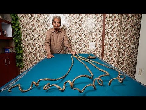 World’s longest NAILS to chop after 66 years