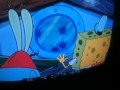 Plankton Gets Freaked By Urchins
