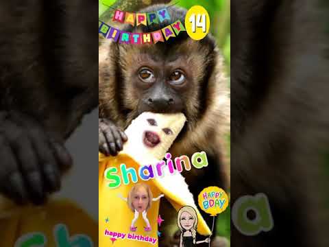 🎈🎂 Happy Birthday Sharina 🎂 🎈