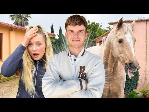 TOM takes care of the HORSES