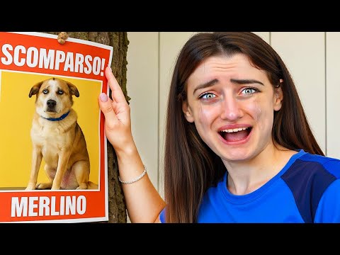 IL MIO CANE È SCOMPARSO!!!*AIUTATEMI A RITROVARLO!* INSIDE OUT NELLA VITA REALE
