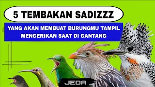 Download lagu MASTERAN FULL TEMBAKAN RAPAT JERNIH MEWAH - MASTERAN KOMBINASI TEMBAKAN RAPAT JERNIH JEDA - 5 IN 1 mp3 Download lagu MASTERAN FULL TEMBAKAN RAPAT JERNIH MEWAH - MASTERAN KOMBINASI TEMBAKAN RAPAT JERNIH JEDA - 5 IN 1 mp3