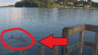 Download lagu Mermaid Baby Caught on Tape in Zimbabwe 2014 mp3