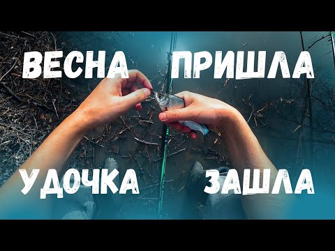 Сезон удочки 2024 открыт! Шикарная погода радует после зимы :)