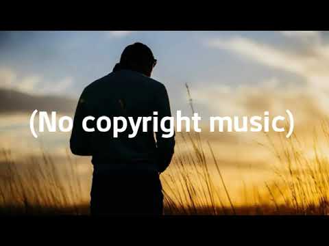 [No Copyright Music] Live The Life - Edwin Ajtún