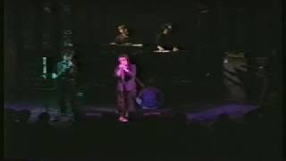 Legendary Pink Dots - Poppy Day (Live)