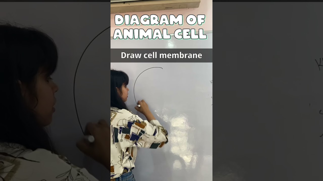 How to draw Animal cell step by step || Biology diagram || Animal cell diagram#shorts