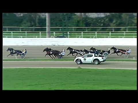 Trotto 01/12/2020 - 1ª corsa