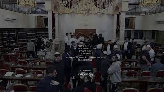 הרב שי פרי -השיעור השבועי -  פרשת חיי שרה תשפ״ה