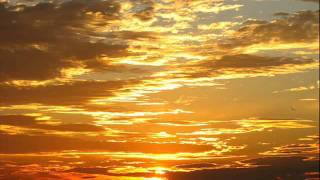 Greg Paulus   Yellow sky