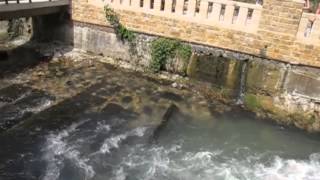 preview picture of video 'Искусственный водопад, Новый Афон, Абхазия'