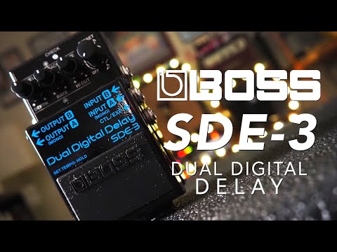 Boss // SDE-3 Dual Digital Delay (Stereo Demo)
