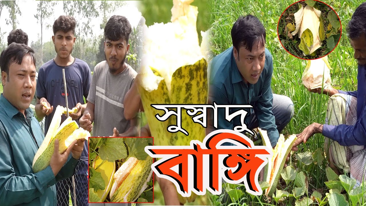 সেই শৈশবে নিয়ে গেলো মৌসুমী ফল বাঙ্গি