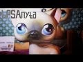 LPS: music video На стене в твоем подъезде 