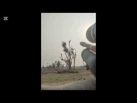 Hunting time #duckhunter #duet #hunt