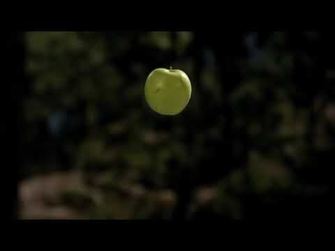 Légend of the seeker saison 1 Épisode 6 en français