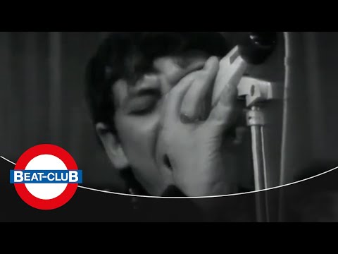 The Animals - Shake, Rattle and Roll (1967)