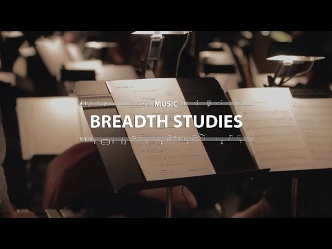 Pathways, Department Insight - Music Breadth Studies Option