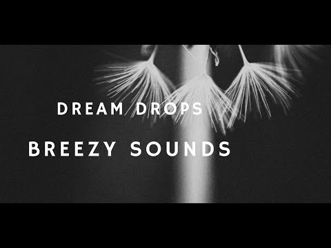 Breezy Sound #8hours