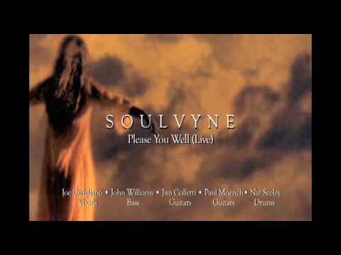 Soulvyne - Please You Well