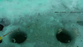 Озеро яровое курганской обл рыбалка
